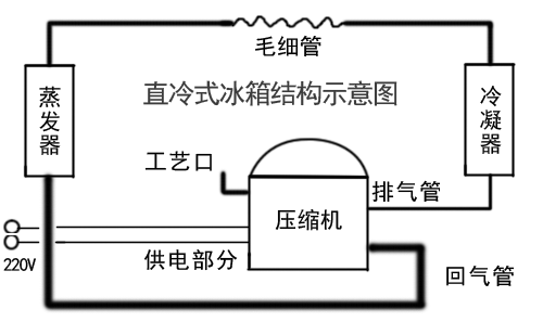 长岭县家电维修-直冷式冰箱结构示意图